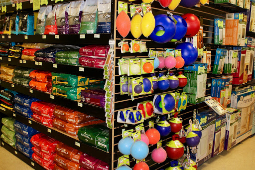 Pet Supply Store «Pet Club Avondale», reviews and photos, 1729 N Dysart Rd B-101, Avondale, AZ 85392, USA