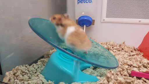 Pet Supply Store «Petco Animal Supplies», reviews and photos, 859 Kings Creek Dr, Tupelo, MS 38804, USA