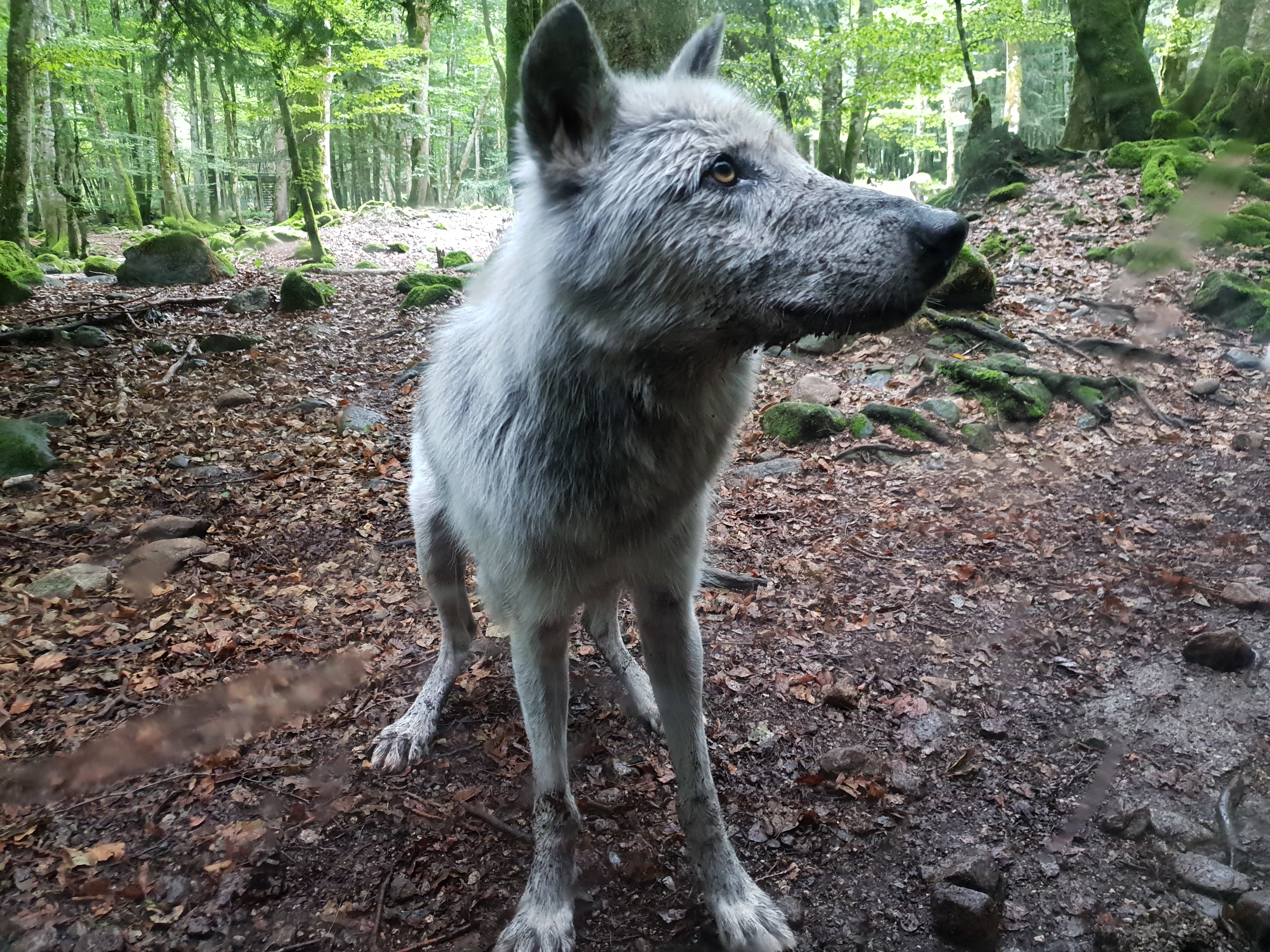 Photo n° 2 de l'avis de Lucie. fait le 13/08/2018 à 19:56