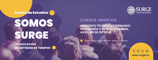 Surge Centro de Estudios Canarias, Centro de capacitación en Las Palmas de Gran Canaria,Las Palmas