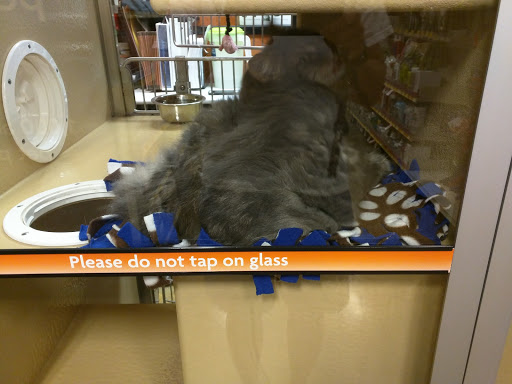 Pet Supply Store «PetSmart», reviews and photos, 19320 Nordhoff Way, Northridge, CA 91324, USA