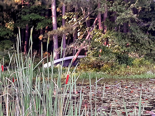 Nature Preserve «Reinstein Woods Nature Preserve», reviews and photos, 93 Honorine Dr, Depew, NY 14043, USA