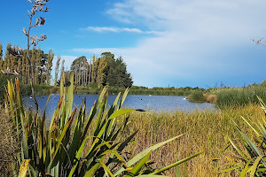 Lincoln Wetlands