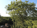 Ferme des Kodama Ygos-Saint-Saturnin