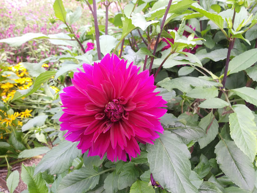 Garden «Wethersfield Farm», reviews and photos, 88 Wethersfield Way, Amenia, NY 12501, USA