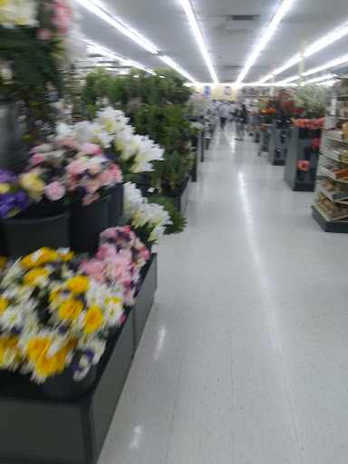 Craft Store «Hobby Lobby», reviews and photos, 2200 War Admiral Way #130, Lexington, KY 40509, USA