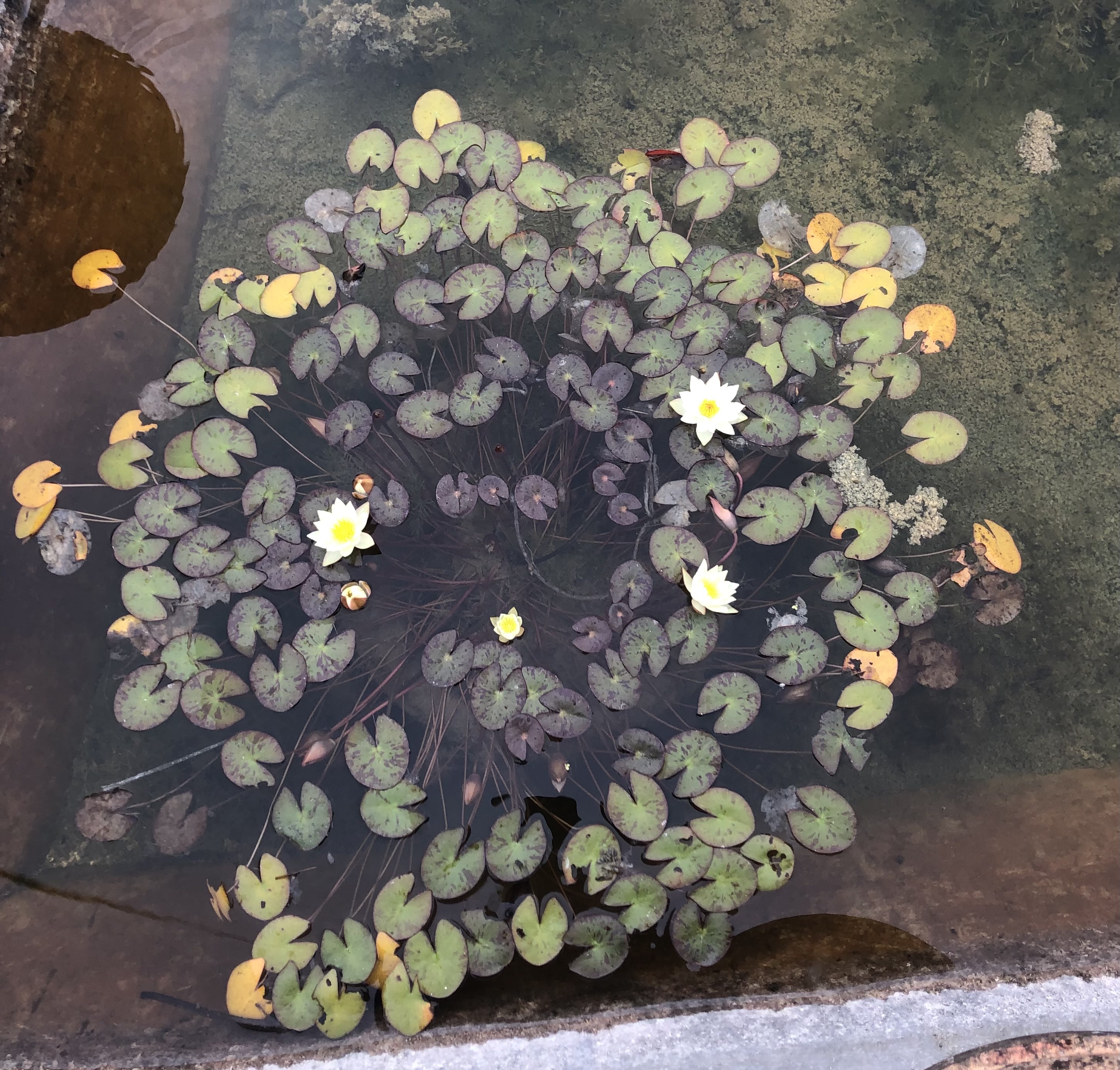 Photo n° 4 de l'avis de Helene.h fait le 24/09/2022 à 16:38