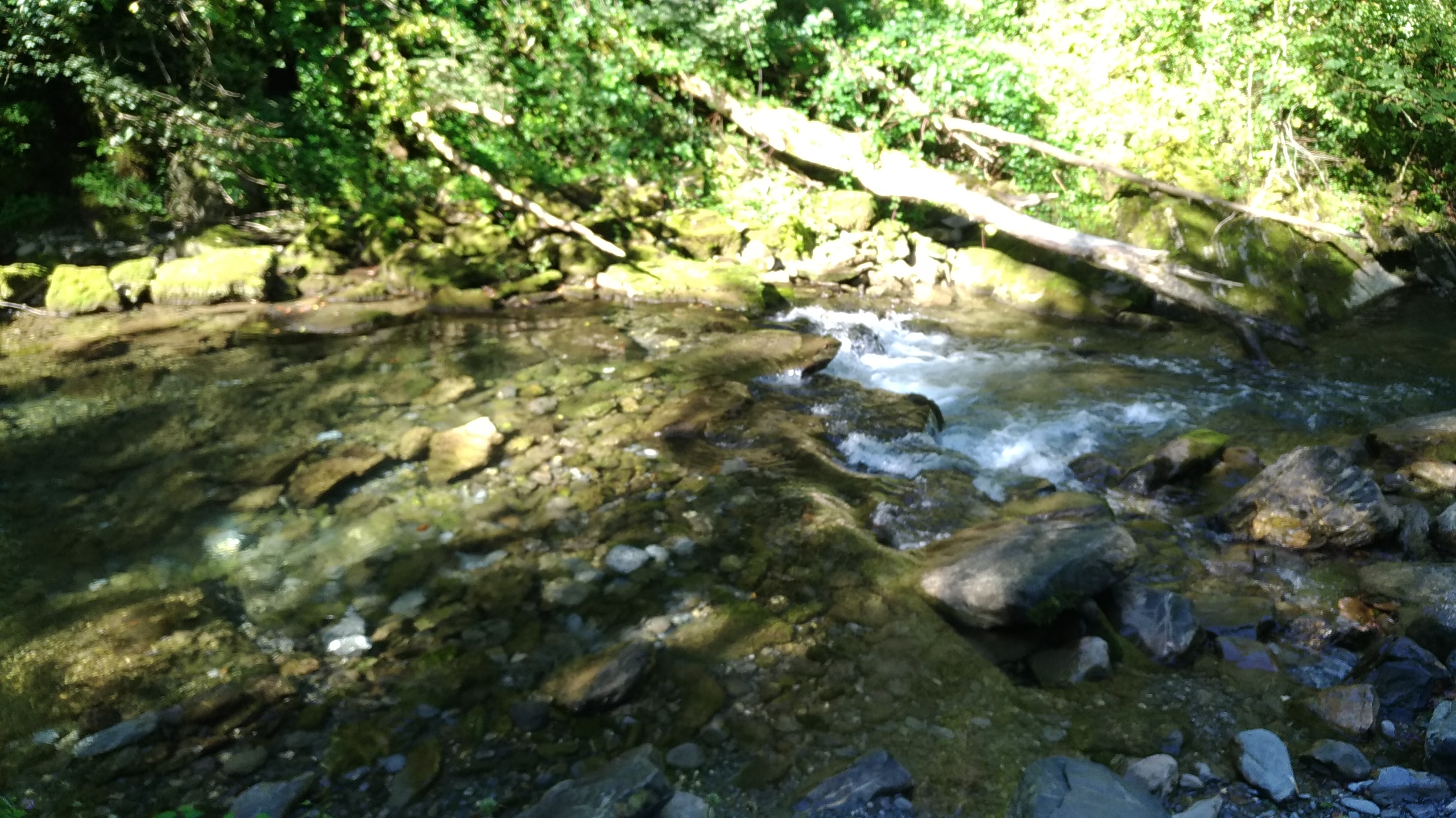 Photo n° 12 de l'avis de Eileen. fait le 05/09/2019 à 15:22