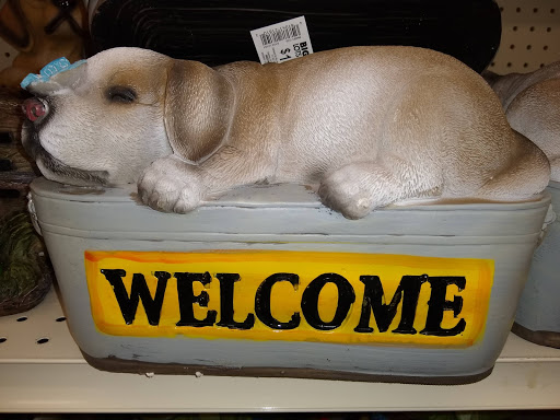 Discount Store «Big Lots», reviews and photos, 2821 Montgomery Hwy, Dothan, AL 36303, USA