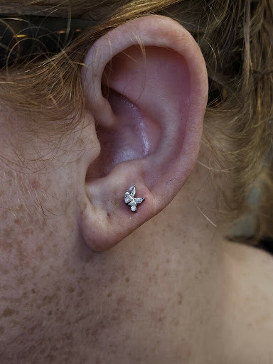 Explore hyena tattoo ideas, creative tattoo ideas in Visalia, available at La Luna Piercings and Fine Jewelry