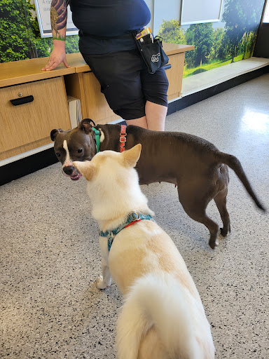 Pet Supply Store «Petco Animal Supplies», reviews and photos, 1203 SE Everett Mall Way f, Everett, WA 98208, USA