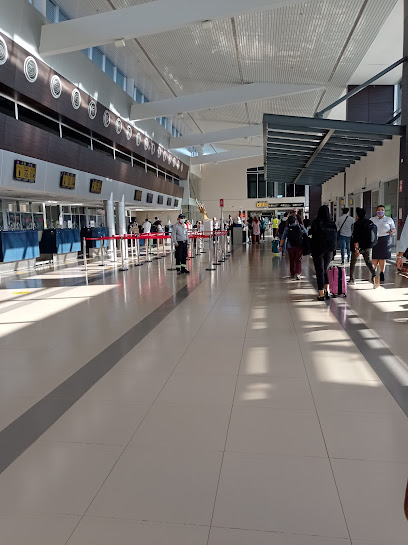 Aeropuerto internacional