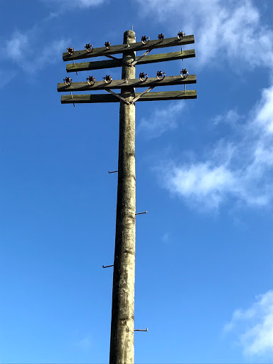 Roller Coaster «Revenge of the Mummy», reviews and photos, 6000 Universal Blvd, Orlando, FL 32819, USA