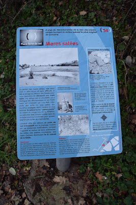 Mares salées. à Marsal