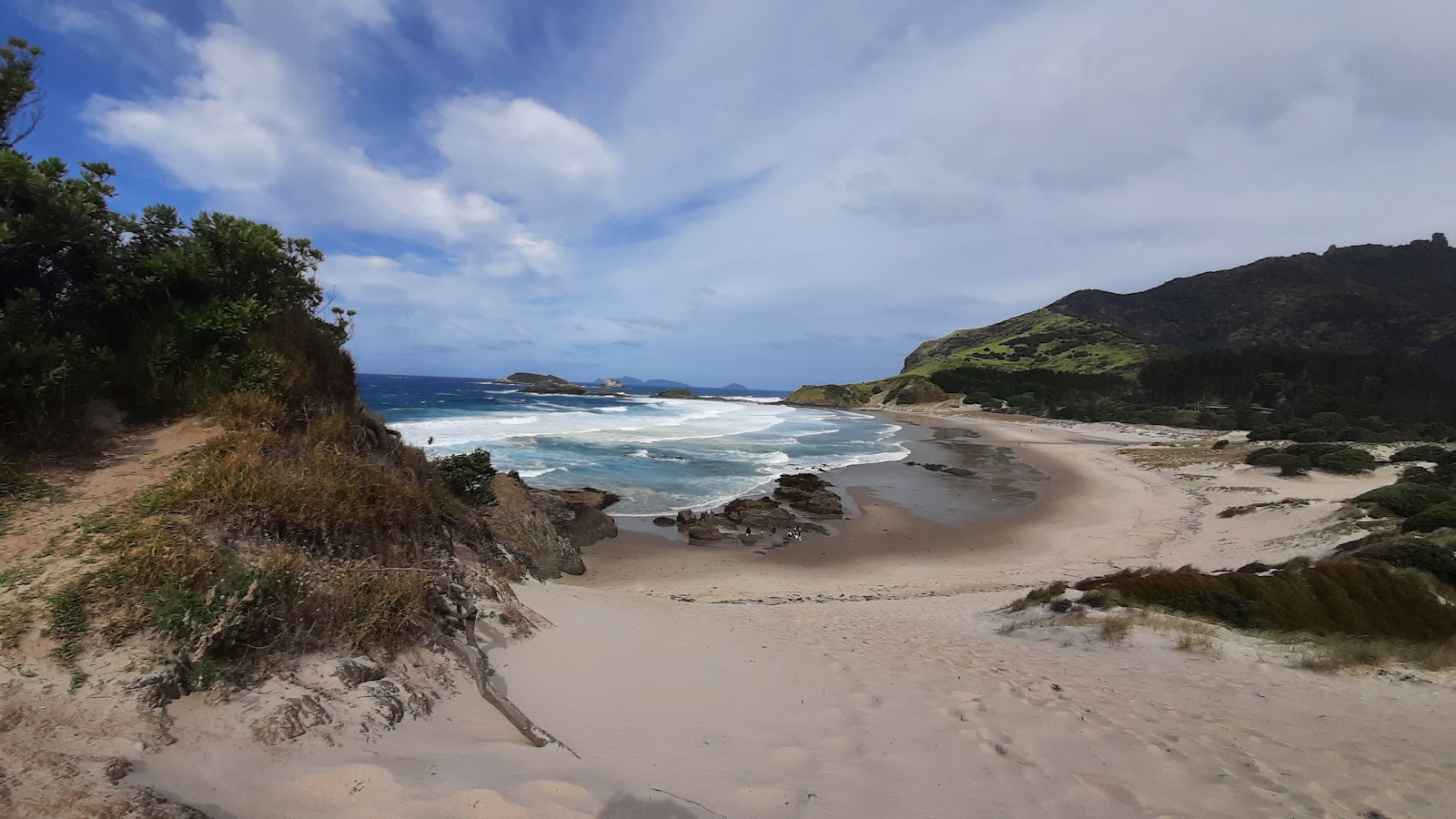 Photo de Ocean Beach situé dans une zone naturelle