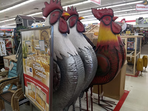 Home Improvement Store «Tractor Supply Co.», reviews and photos, 1159 OH-32, Batavia, OH 45103, USA