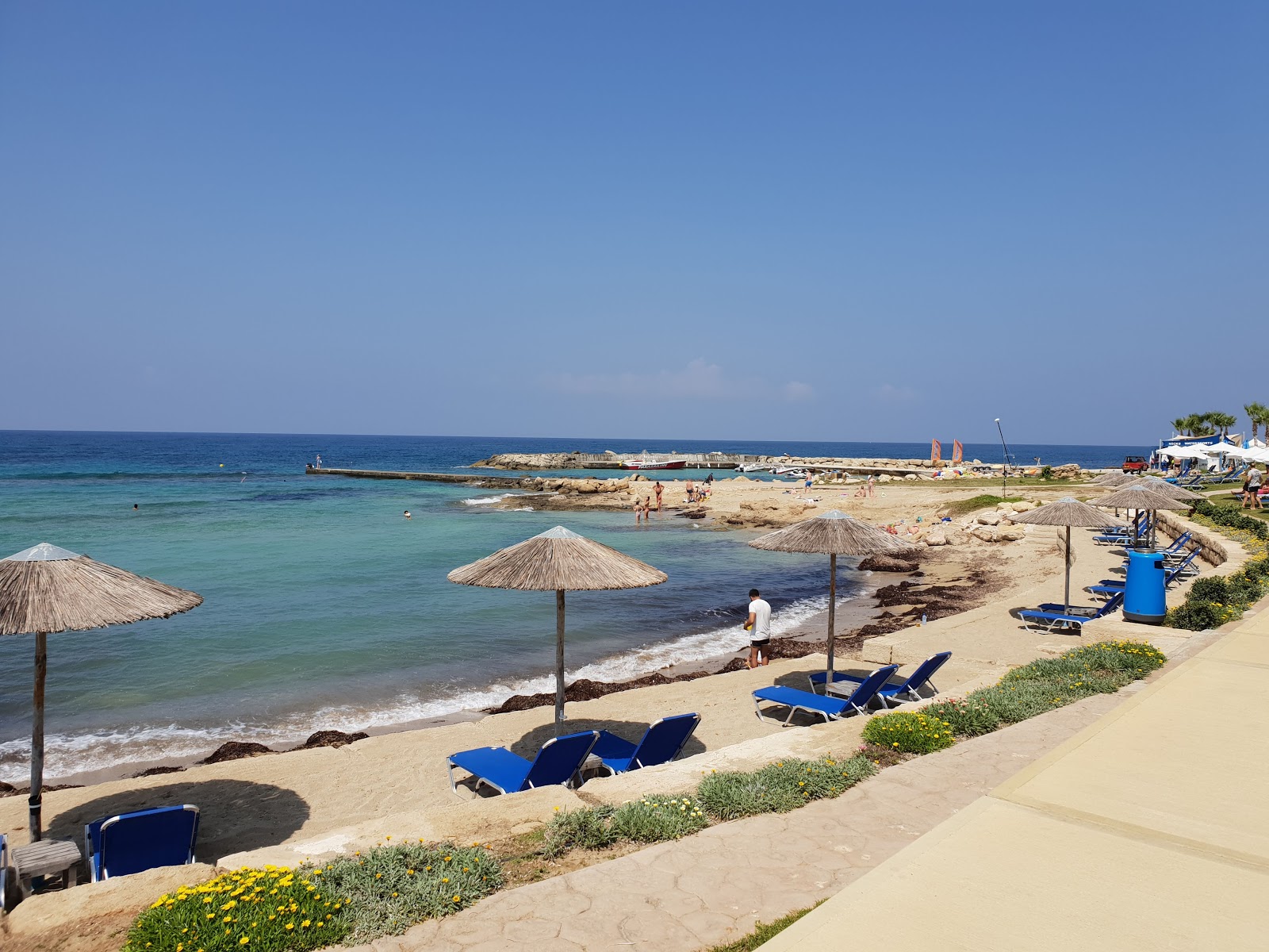 Foto de Pachyammos beach - lugar popular entre os apreciadores de relaxamento