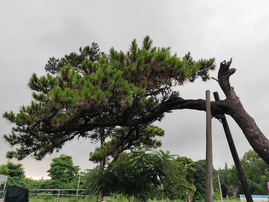 月眉糖廠餐廳 的照片
