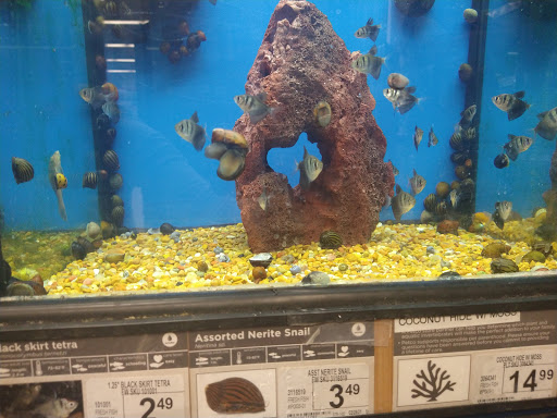 Beauty Salon «Beauty Brands», reviews and photos, 2325 Marketplace Dr, Waco, TX 76711, USA