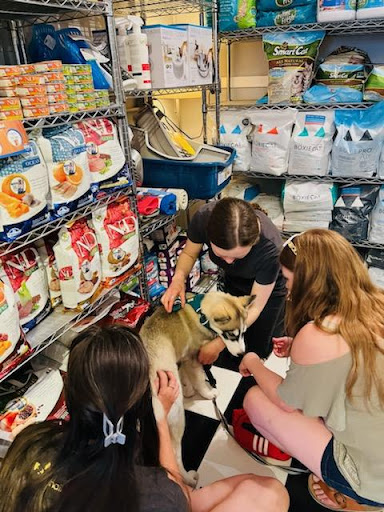 Pet Store «Mouthfuls Pet Supply Store», reviews and photos, 4224 Tennyson St, Denver, CO 80212, USA