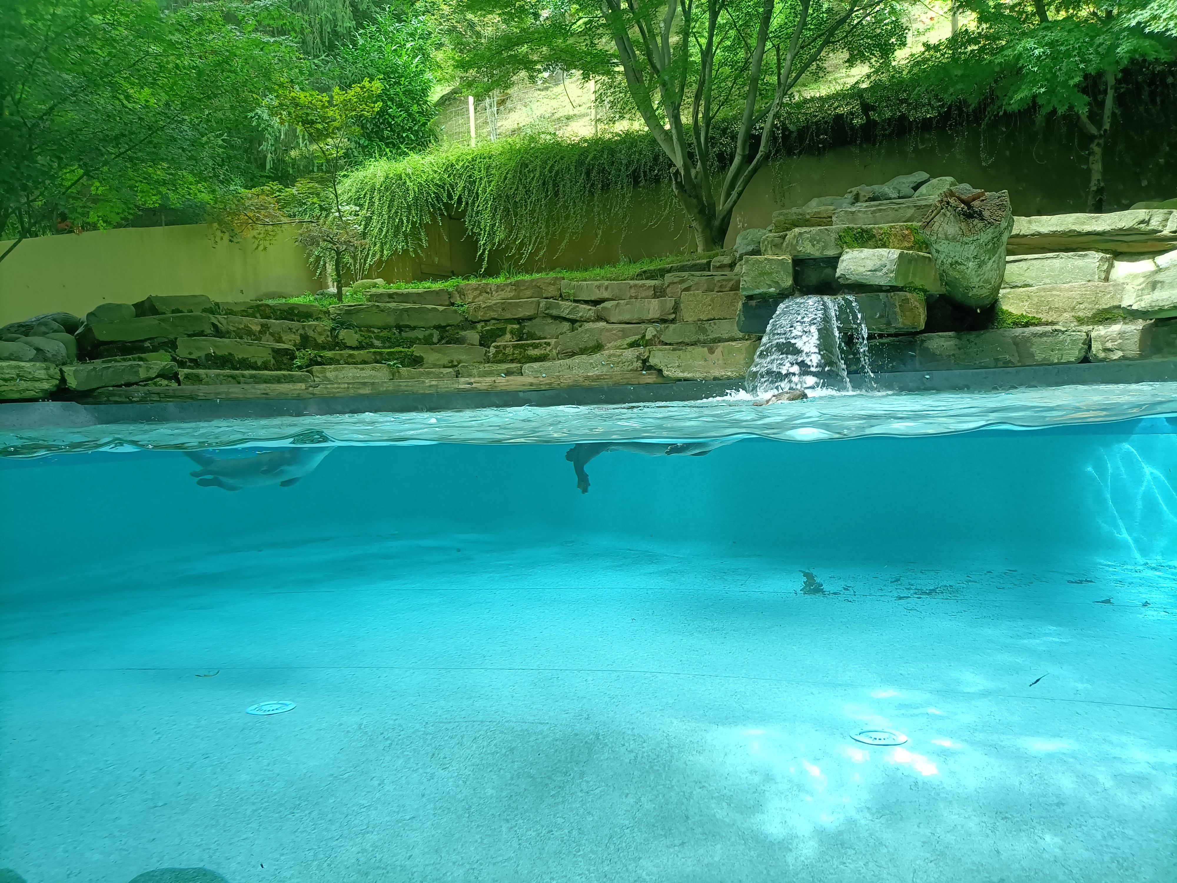 Photo n° 7 de l'avis de Jessica. fait le 07/08/2023 à 06:57