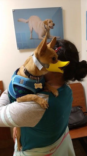 Pet Supply Store «PetSmart», reviews and photos, 948 Springfield Rd, Union, NJ 07083, USA