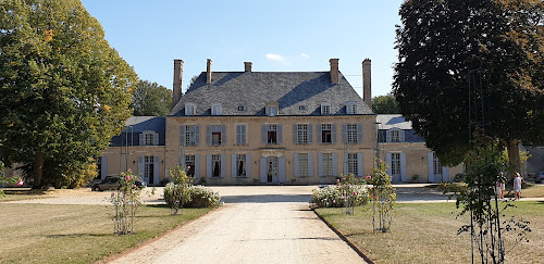 Château de Denainvilliers - Dadonville à Dadonville
