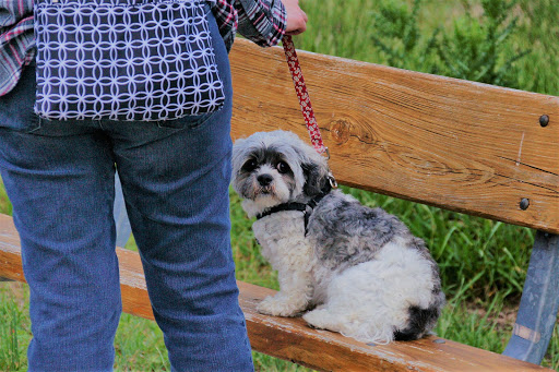 Park «Little Mulberry Park», reviews and photos, 3855 Hog Mountain Rd, Hoschton, GA 30548, USA