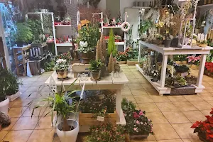 Holland Blumen Shop image