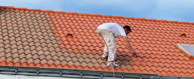 Clean habitat BRUXELLES Belgique COUVREUR BRUXELLES démoussage toiture traitement réparation peinture