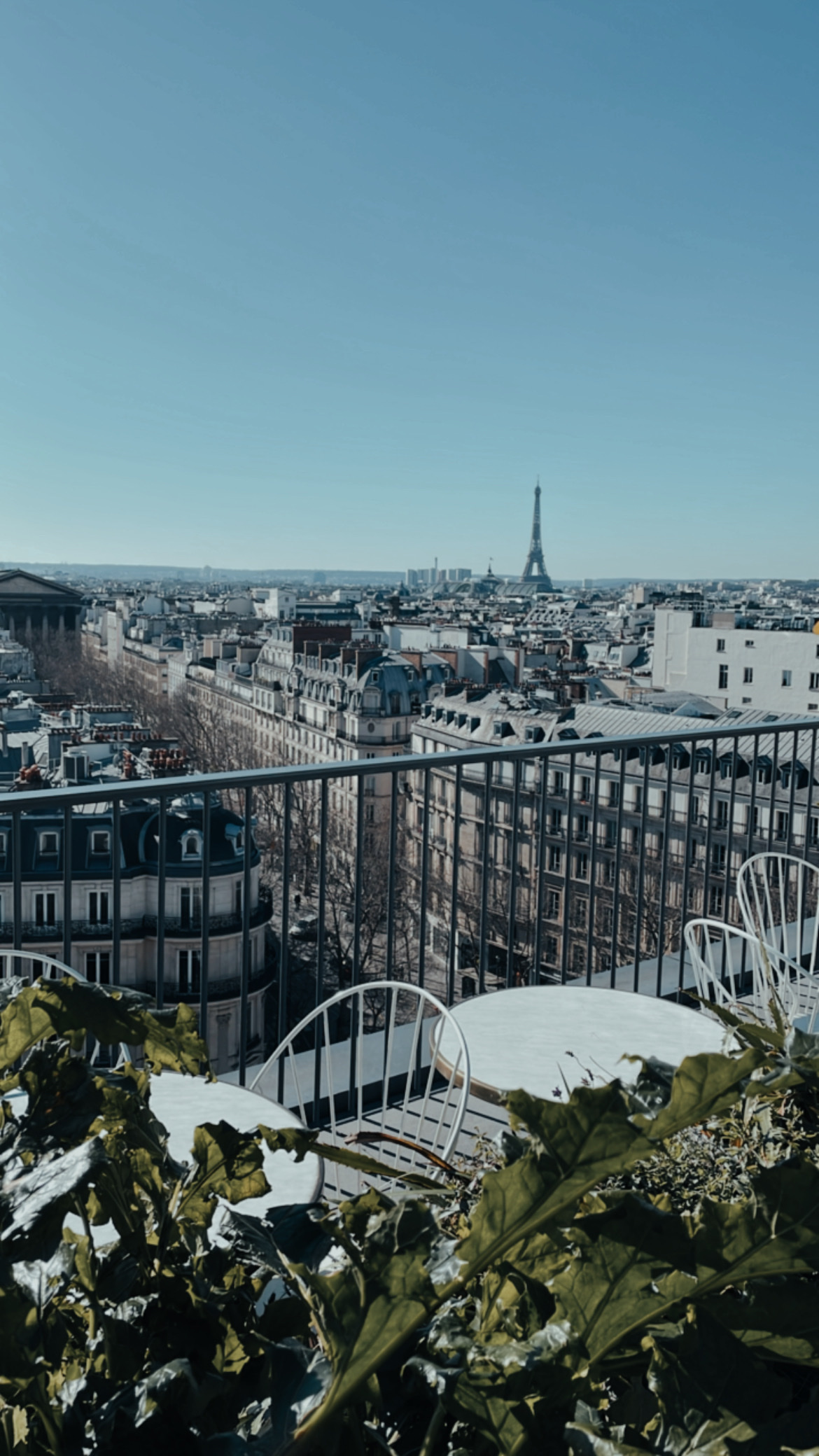 Photo n° 2 de l'avis de Thibaud.e fait le 28/02/2022 à 10:03