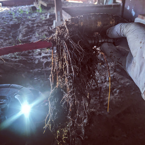 Plumber «Proactive Plumbing, Inc.», reviews and photos