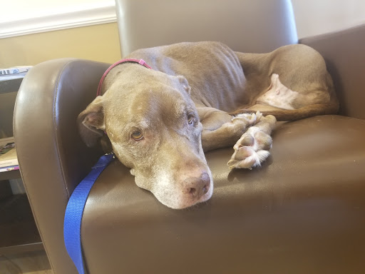 901 Jordan Blass Dr, Melbourne, FL 32940, USA