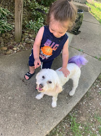 A Diamond In the Ruff - Photo 4 - Car repair in Pittsburgh, PA, Pittsburgh