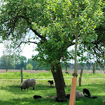 Photo n°4 de l'avis de Markus.a fait le 15/05/2023 à 10:46 sur le  HORNS Forellenstübchen à Wedemark