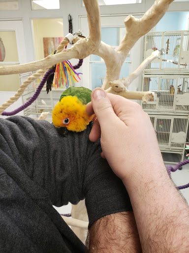 Pet Store «Woofmeow Family Pet Center», reviews and photos, 19 Manchester Rd Suite A, Derry, NH 03038, USA