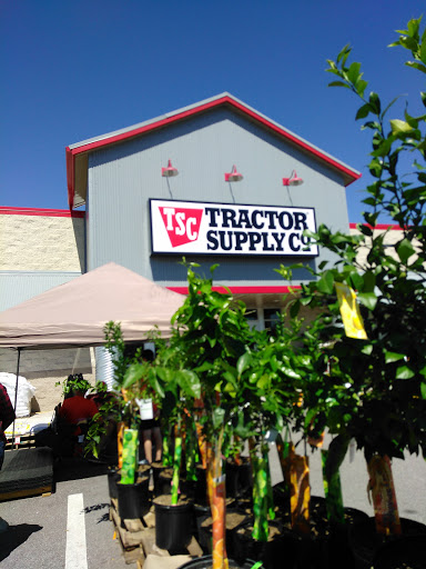 Home Improvement Store «Tractor Supply Co.», reviews and photos, 890 State Rte 415, Osteen, FL 32764, USA