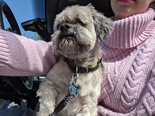 Pet Supply Store «Petco Animal Supplies», reviews and photos, 2210 N Eagle Rd, Meridian, ID 83646, USA