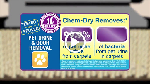 Carpet Cleaning Service «Bluegrass Chem-Dry», reviews and photos, 116 Keelridge Dr, Georgetown, KY 40324, USA