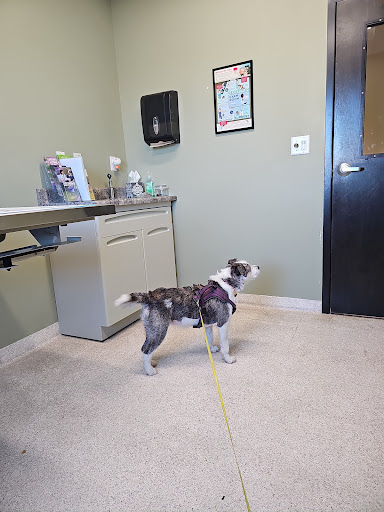 Meadowbrook Veterinary Clinic - North image