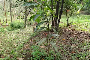 Crematorium And Public cemetery Dehiovita image