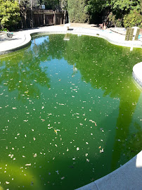 Nice pool cleaning - Photo 2 - Car repair in Bay Point, CA, Concord