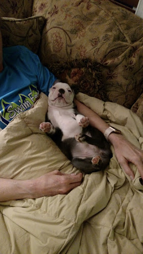 Insurance Agency «Allstate Insurance Agent: Scott A. Bresnahan», reviews and photos