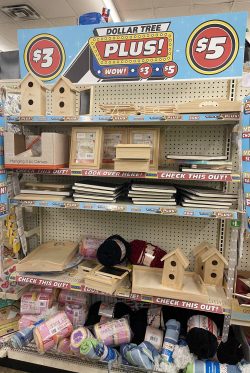 Dollar Store «Dollar Tree», reviews and photos, 11530 W Sample Rd, Coral Springs, FL 33065, USA