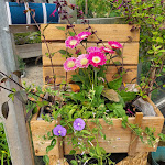 Photo n°26 de l'avis de Martin.i fait le 18/06/2023 à 14:16 sur le  Cafe bloom à Hohenwart