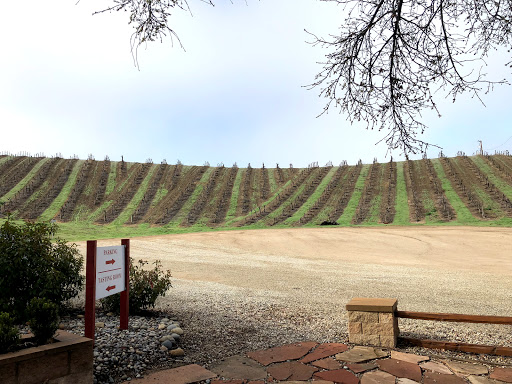 Winery «Glunz Family Winery & Cellars», reviews and photos, 8331 CA-46, Paso Robles, CA 93446, USA