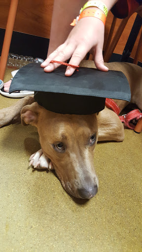 Pet Supply Store «PetSmart», reviews and photos, 3210 E Lynn Blvd, Sterling, IL 61081, USA