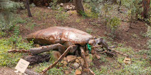 Highlands Center for Natural History