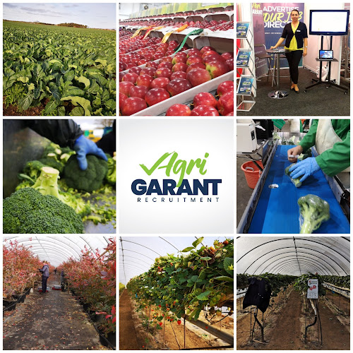 Agrigarant Seasonal Workers Recruitment - Employment agency