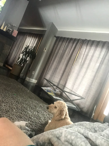 Craft Store «A.C. Moore Arts and Crafts», reviews and photos, 1515 Lititz Pike, Lancaster, PA 17601, USA